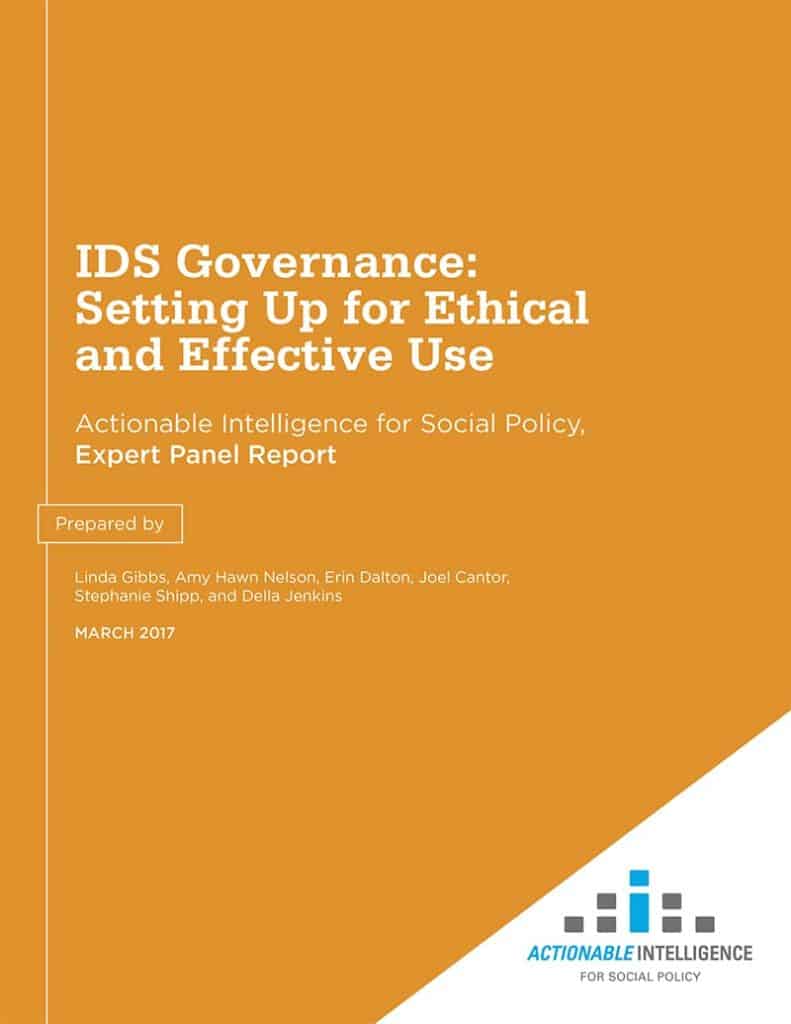 Governance Panel Report
